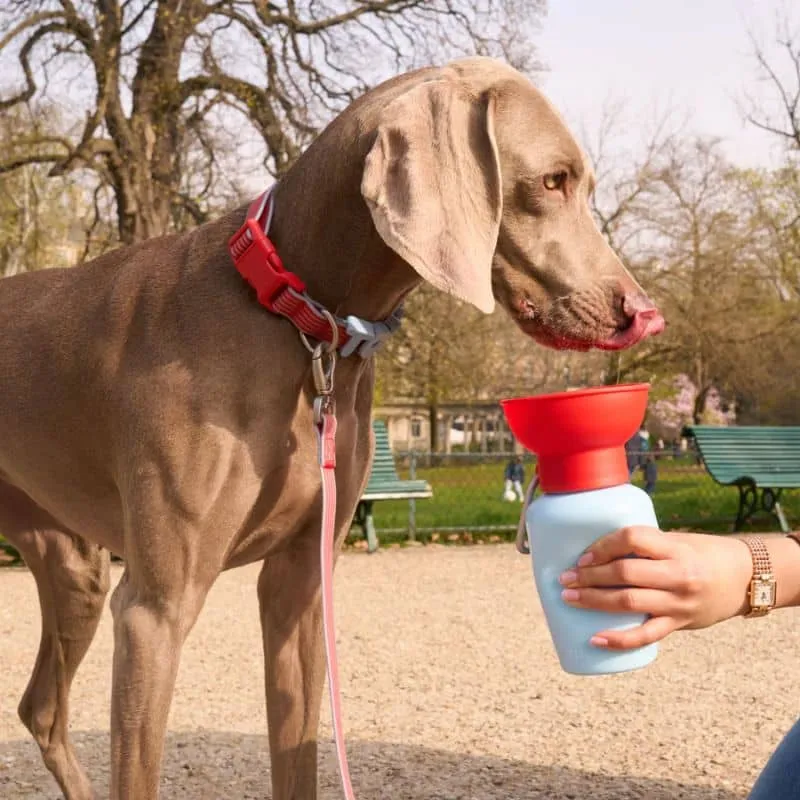 GOURDE PORTABLE POUR CHIEN AVEC DISTRIBUTEUR D'EAU RÉTRACTABLE - 590ML * ÉDITION LIMITÉE BICOLORE BLEU & ROUGE