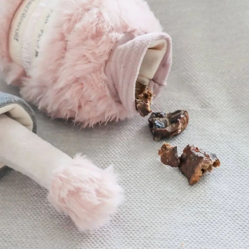 JEU D’OCCUPATION ET DE FOUILLE POUR CHIEN - VERNIS À ONGLES 💅