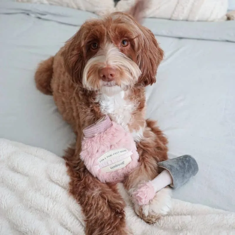 JEU D’OCCUPATION ET DE FOUILLE POUR CHIEN - VERNIS À ONGLES 💅