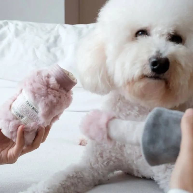 JEU D’OCCUPATION ET DE FOUILLE POUR CHIEN - VERNIS À ONGLES 💅
