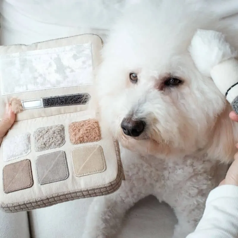 JEU D’OCCUPATION ET DE FOUILLE POUR CHIEN - PALETTE FARDS À PAUPIÈRES