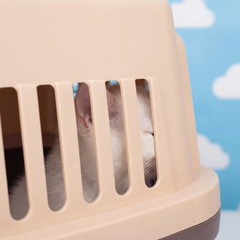 Cage de Transport Chien Avion Portable Aérée