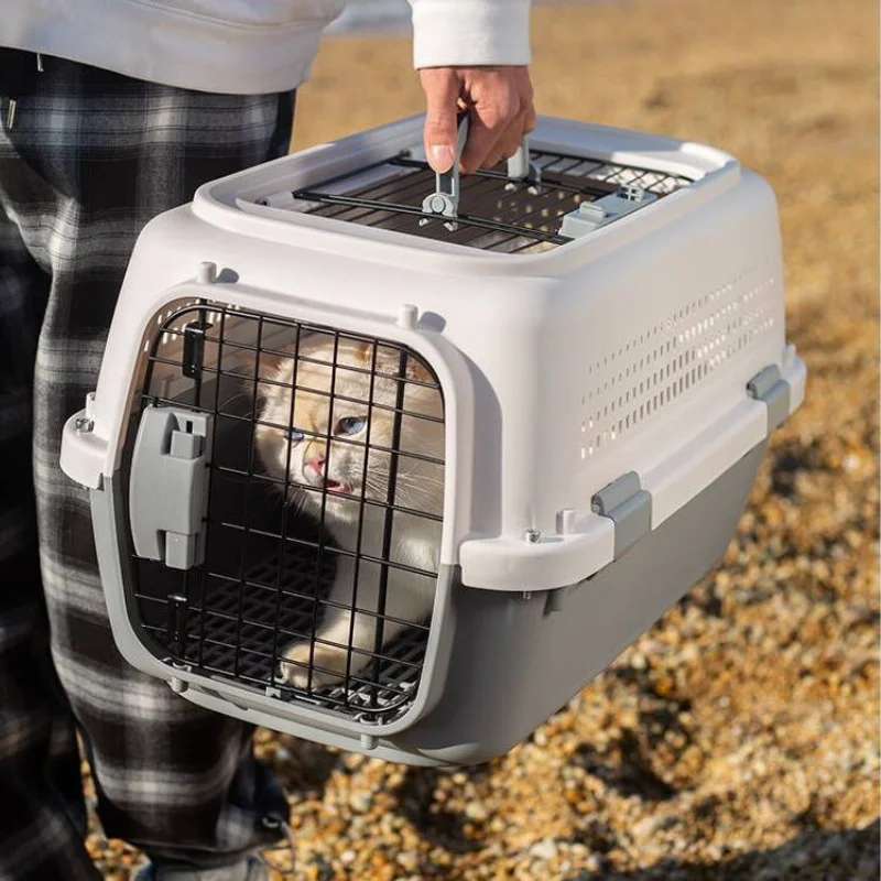 Cage de Transport Petit Chien et Chat Portable Ventilée