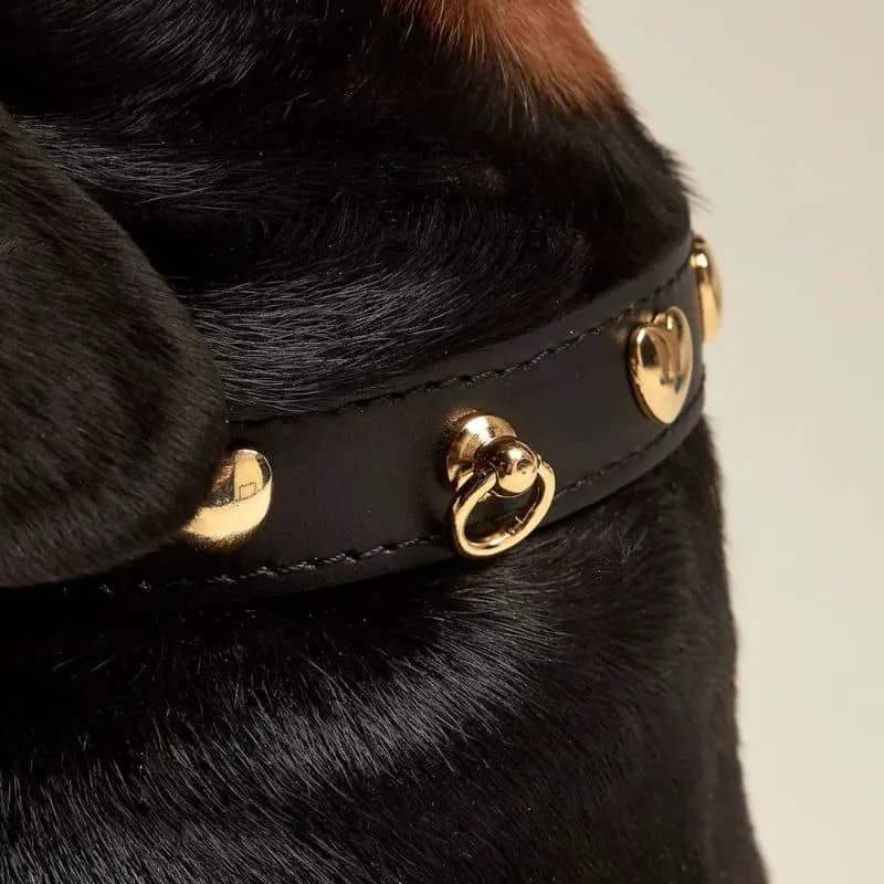 COLLIER EN CUIR POUR CHIEN - NOIR "NARA" AVEC CLOUS DORÉS COEUR