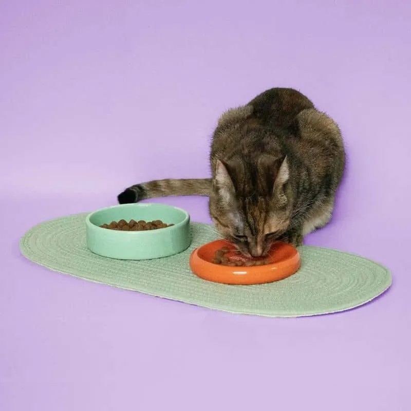 GAMELLE BENTO EN CÉRAMIQUE POUR CHAT - BOL ET SOUCOUPE