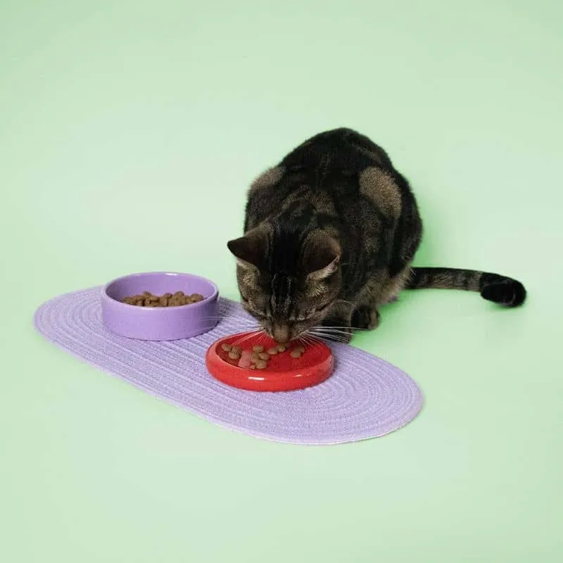 GAMELLE BENTO EN CÉRAMIQUE POUR CHAT - BOL ET SOUCOUPE