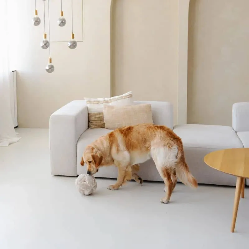 JEU D’OCCUPATION ET DE FOUILLE POUR CHIEN - BOBBY