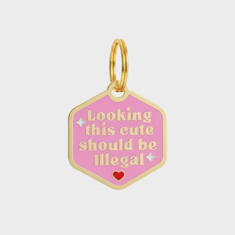 MÉDAILLE POUR CHIEN AVEC QR CODE AU DOS - LOOKING THIS CUTE SHOULD BE ILLEGAL