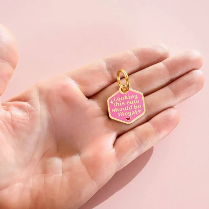 MÉDAILLE POUR CHIEN AVEC QR CODE AU DOS - LOOKING THIS CUTE SHOULD BE ILLEGAL