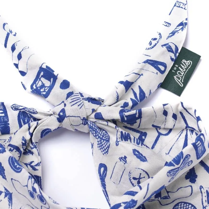 BANDANA POUR CHIEN - EXPLORATEUR "WANDER" ⛺️