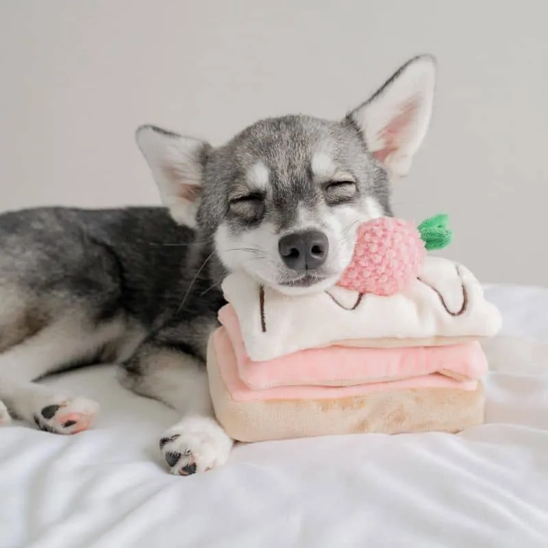 JOUET D’OCCUPATION ET DE FOUILLE POUR CHIEN - MILLE-FEUILLES FRAISE 🍰