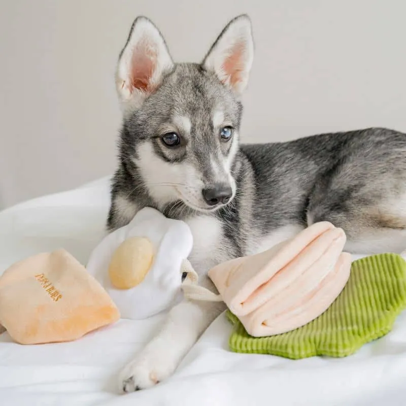 JOUET D’OCCUPATION ET DE FOUILLE POUR CHIEN - PITA 🥙