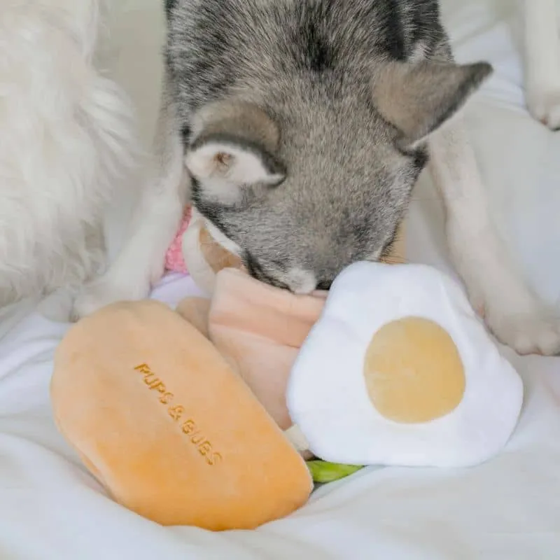 JOUET D’OCCUPATION ET DE FOUILLE POUR CHIEN - PITA 🥙