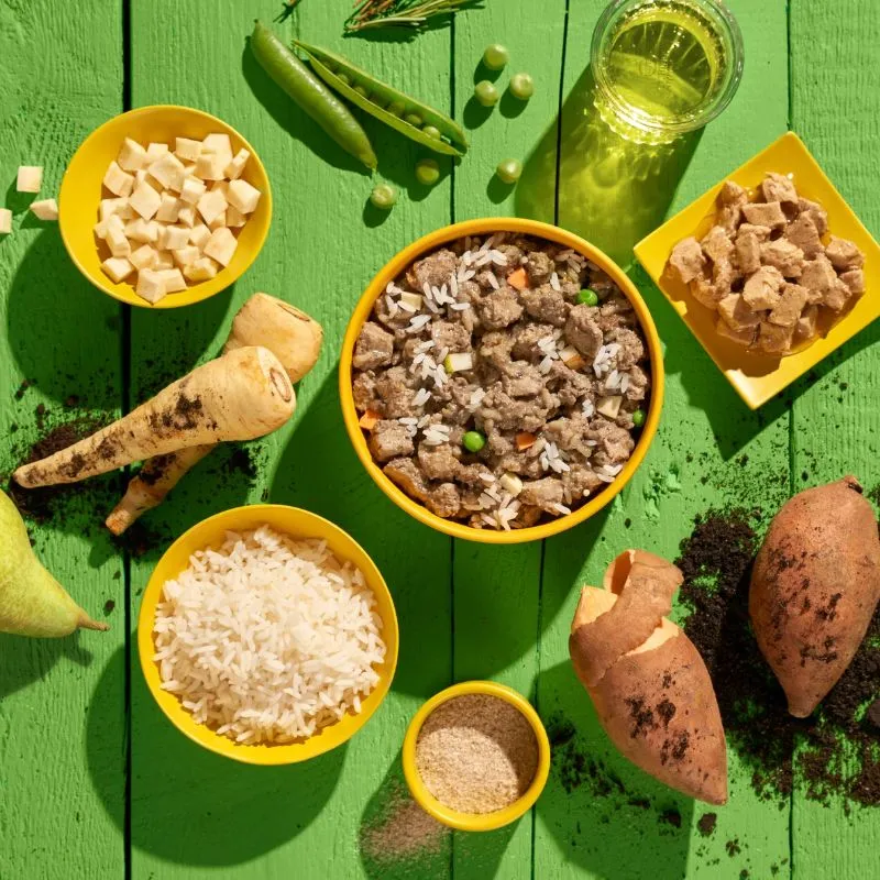 PÂTÉE VEGAN POUR CHIEN - [SANS] POULET 🌱