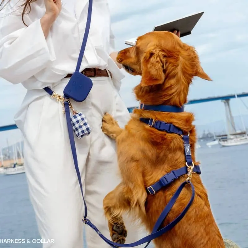 🆕 HARNAIS POUR CHIEN WATERPROOF - BLEU MARINE "NAVY" *BOUCLES COULEURS*
