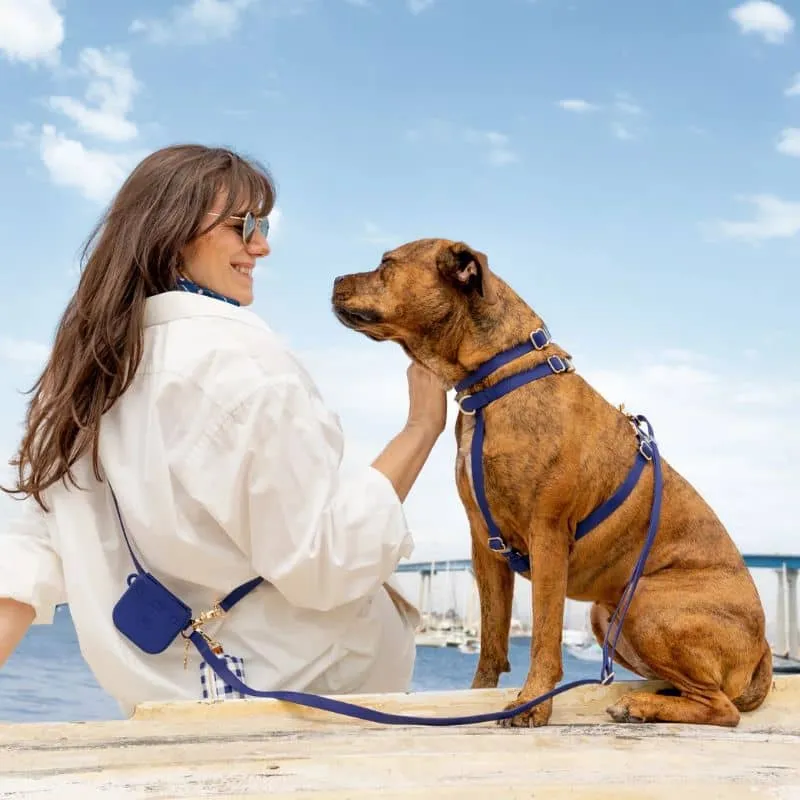 🆕 HARNAIS POUR CHIEN WATERPROOF - BLEU MARINE "NAVY" *BOUCLES COULEURS*