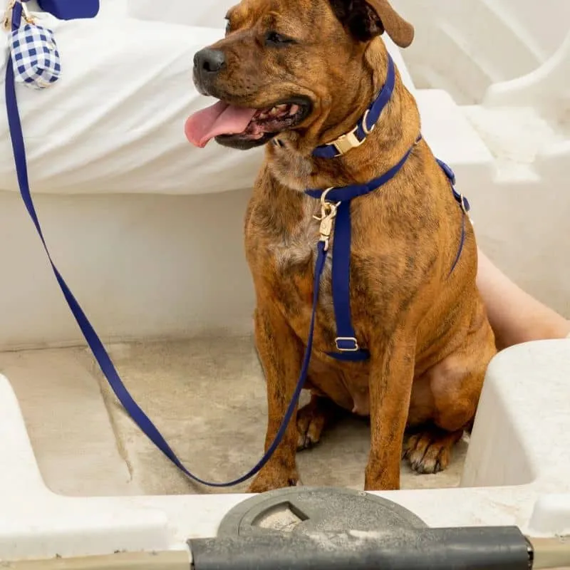 LAISSE POUR CHIEN WATERPROOF - BLEU MARINE "NAVY"
