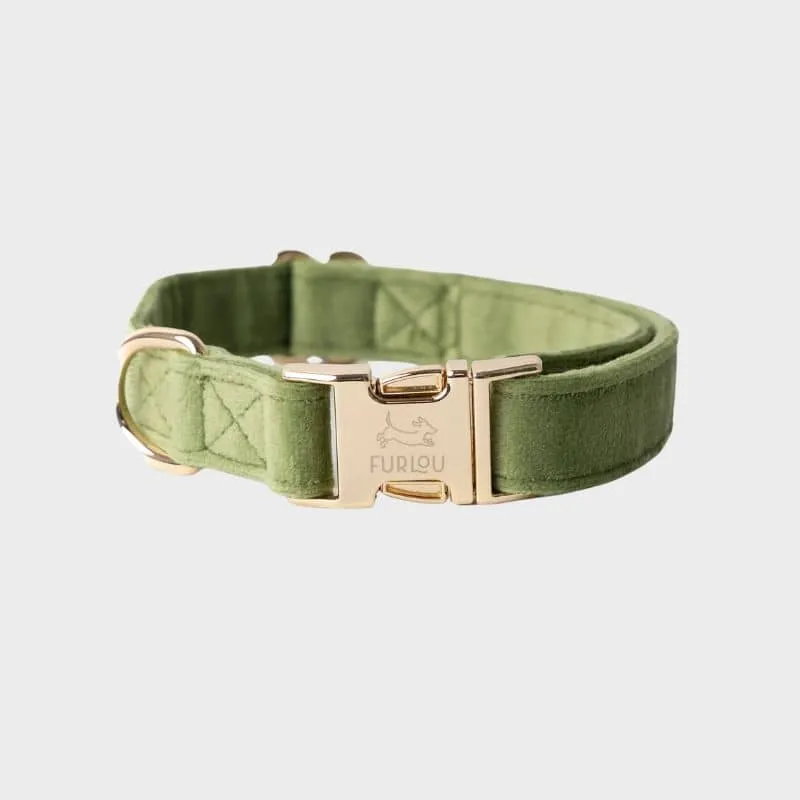 COLLIER EN VELOURS POUR CHIEN - VERT "GREEN VELVET"