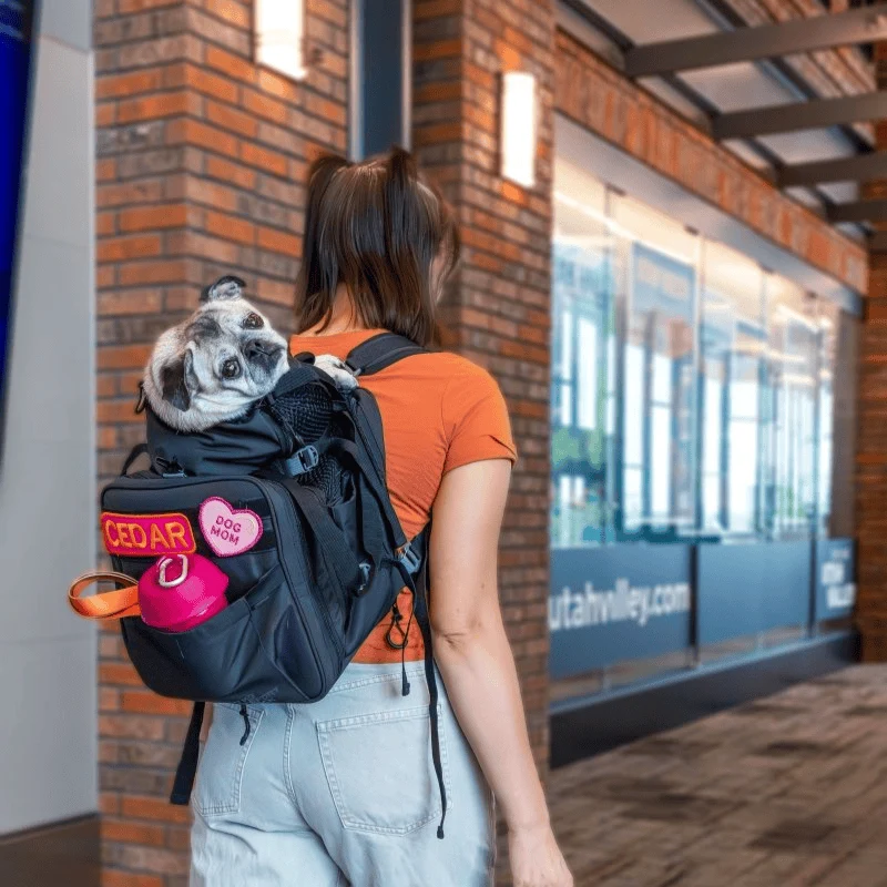 SAC DE TRANSPORT 2-EN-1 POUR CHIEN - SAC AVION CONVERTIBLE EN SAC À DOS * SKY PACK