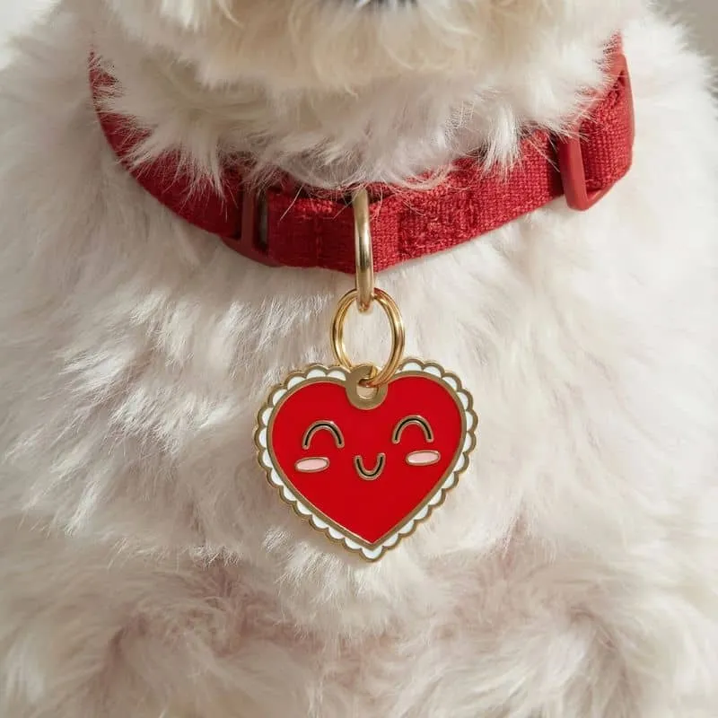MÉDAILLE POUR CHIEN AVEC QR CODE AU DOS - MY HEART DOG ♥️