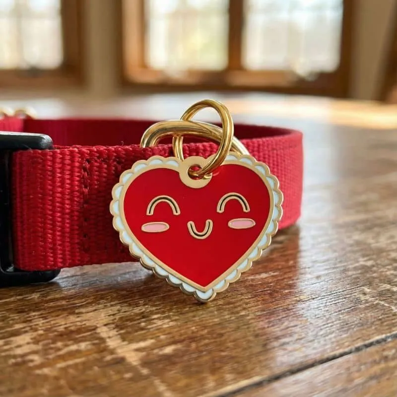 MÉDAILLE POUR CHIEN AVEC QR CODE AU DOS - MY HEART DOG ♥️