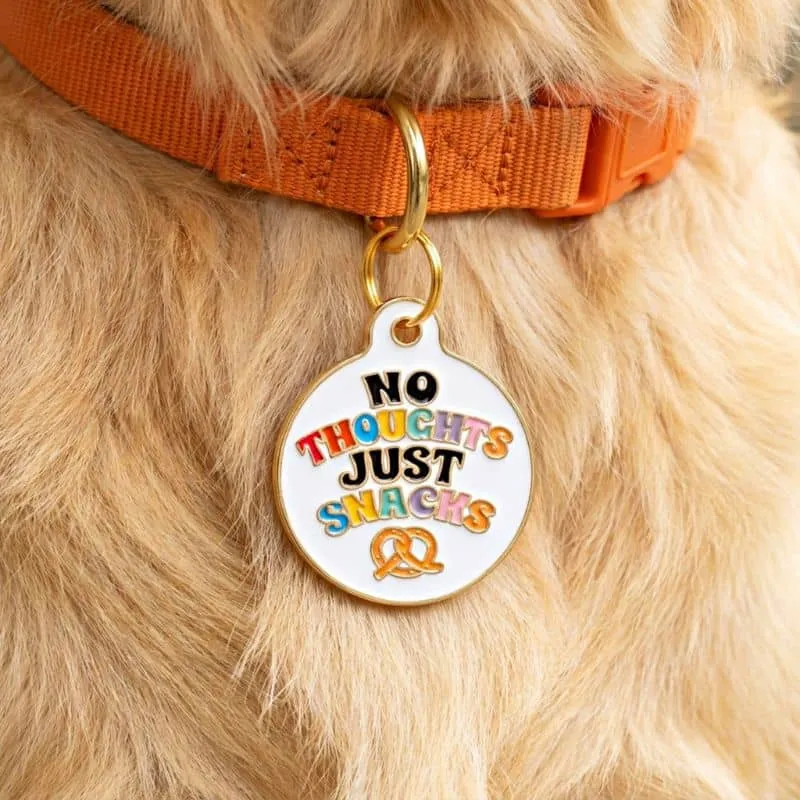 MÉDAILLE POUR CHIEN AVEC QR CODE AU DOS - NO THOUGHTS JUST SNACKS