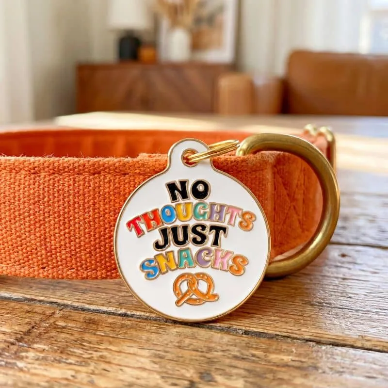 MÉDAILLE POUR CHIEN AVEC QR CODE AU DOS - NO THOUGHTS JUST SNACKS