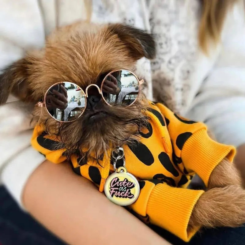 MÉDAILLE POUR CHIEN AVEC QR CODE AU DOS - CUTE AS F*CK