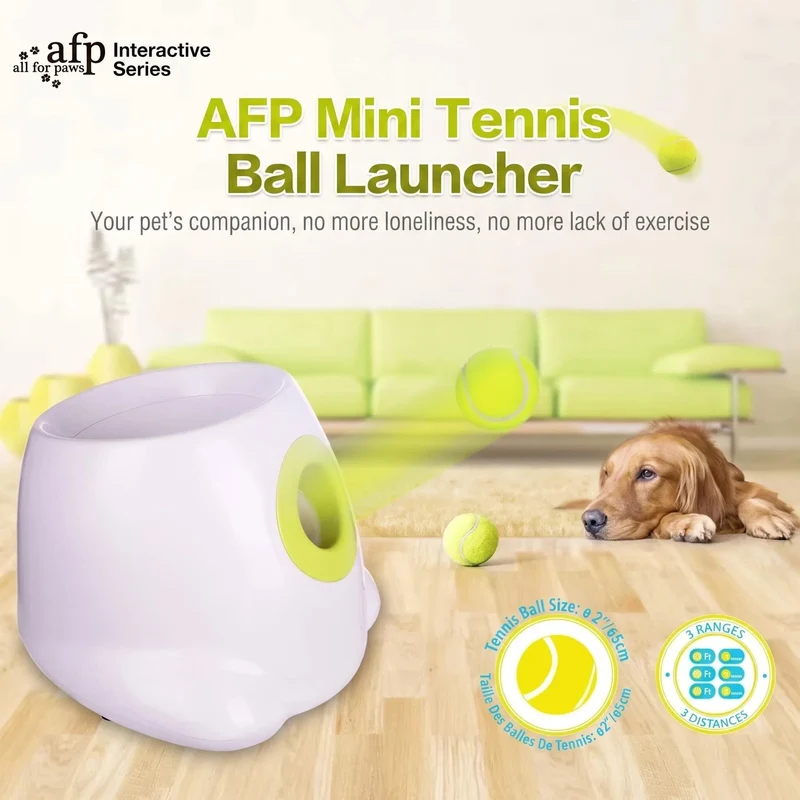 Lanceur de Balle Automatique Chien Mini Rechargeable USB-C