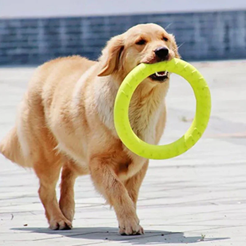 Jouet Anneau de Traction pour Chien Moyen et Grand