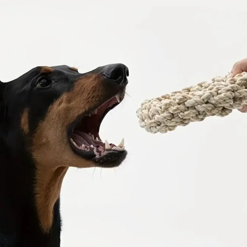 Jouet Corde pour Chien à Mâcher et à Tirer