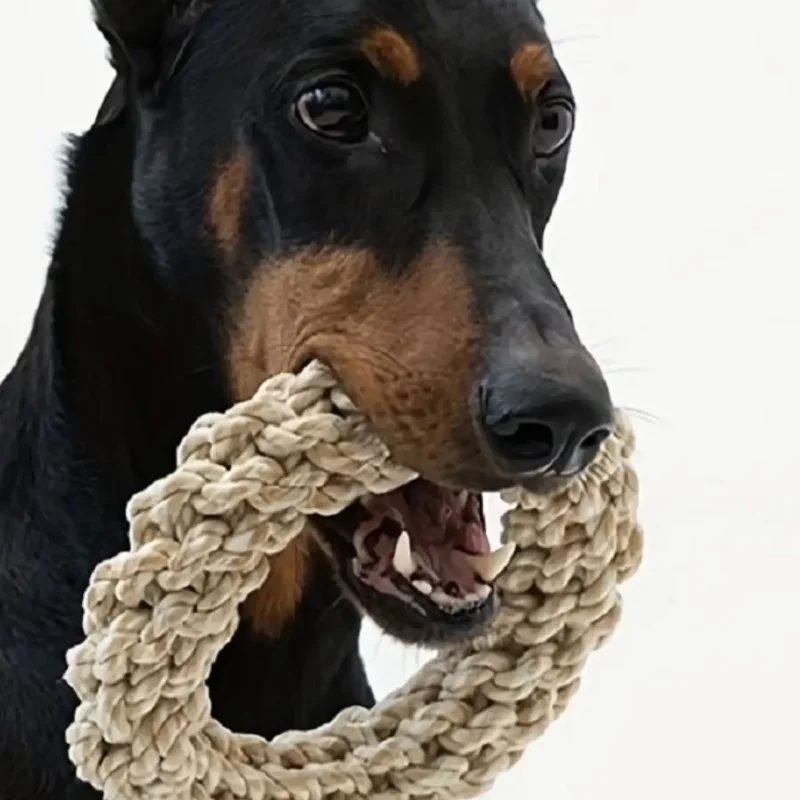 Jouet Corde pour Chien à Mâcher et à Tirer