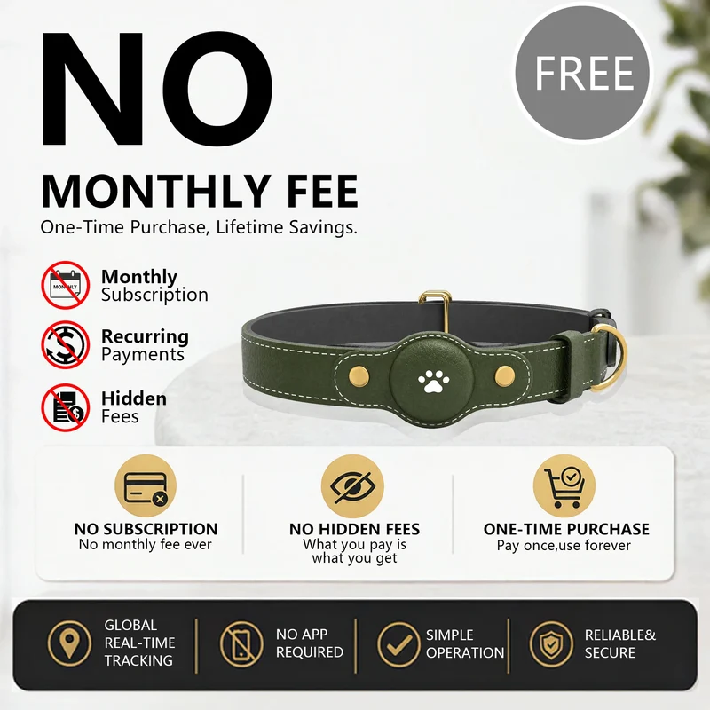 Collier GPS Chien Sans Abonnement Compatible iPhone et Android