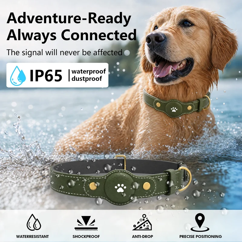 Collier GPS Chien Sans Abonnement Compatible iPhone et Android