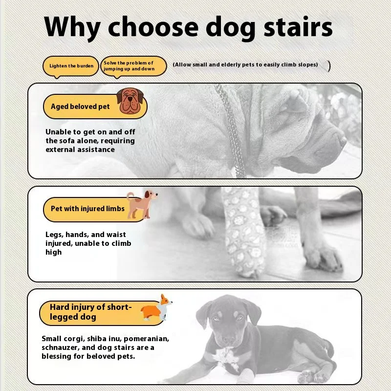 Escalier pour Chien Polaire Motif Os 3 ou 4 Marches