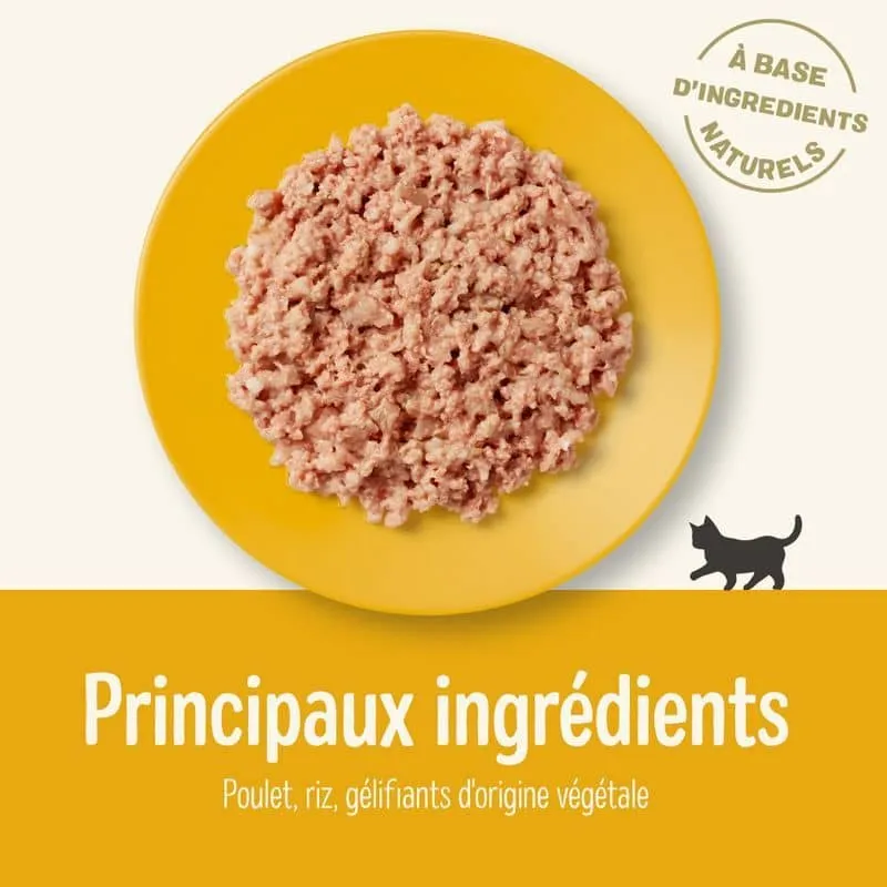 PÂTÉE COMPLÉMENTAIRE POUR CHATON - POULET