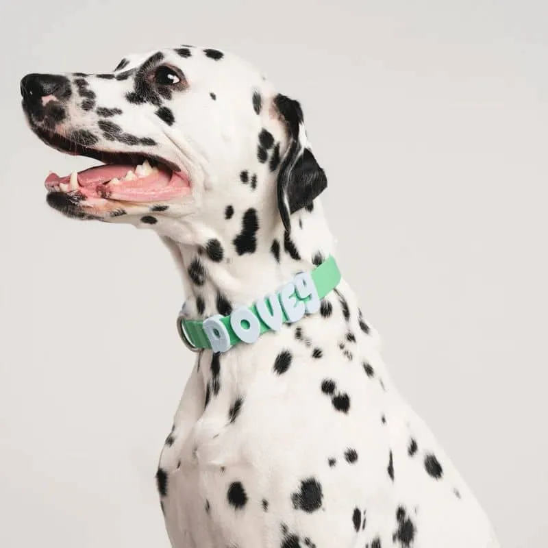 COLLIER POUR CHIEN WATERPROOF - BICOLORE BLEU / VERT (PERSONNALISABLE AVEC DES CHARMS)
