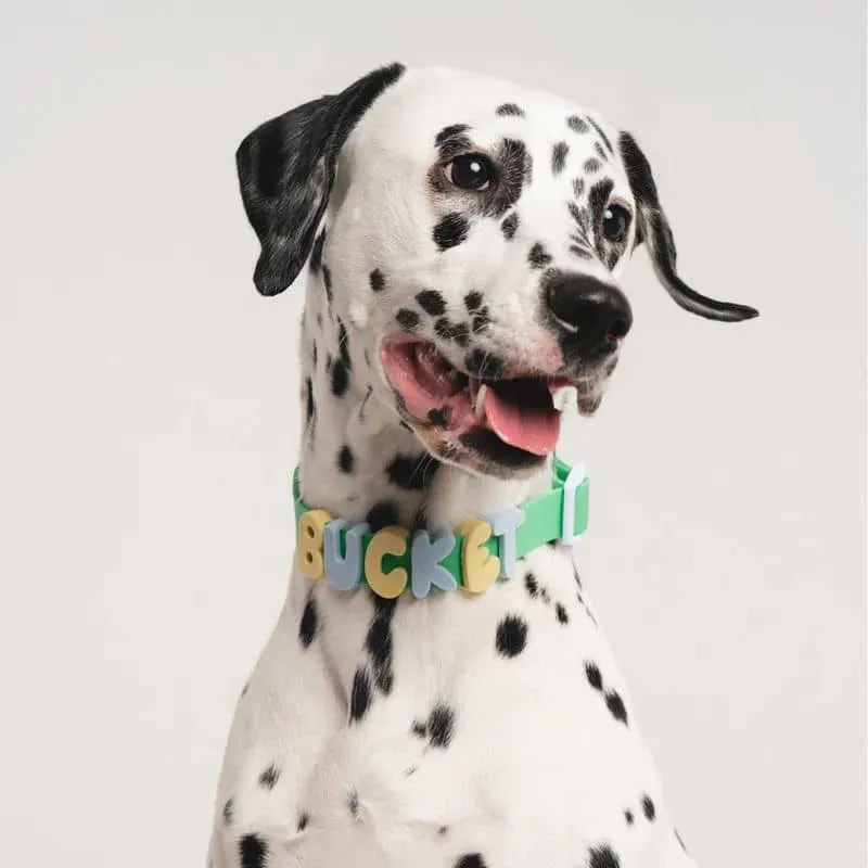 COLLIER POUR CHIEN WATERPROOF - BICOLORE BLEU / VERT (PERSONNALISABLE AVEC DES CHARMS)