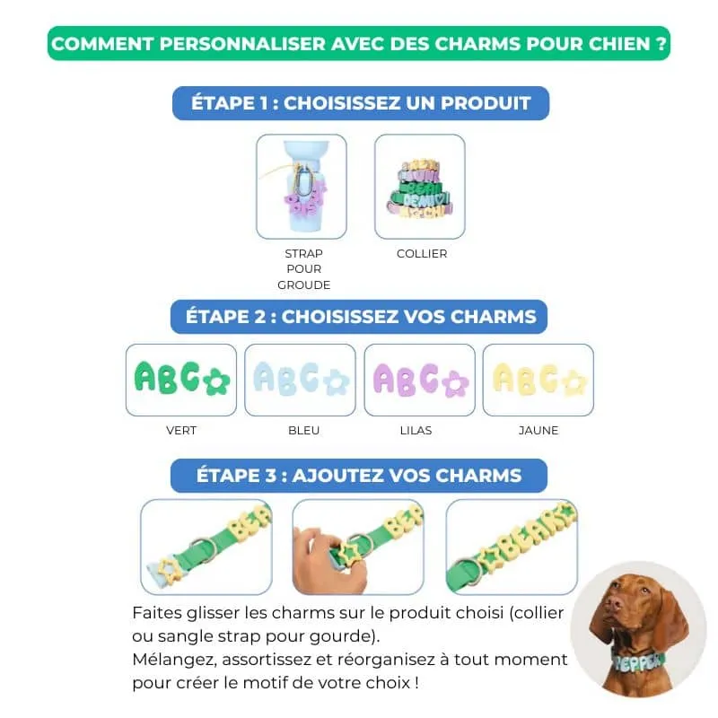COLLIER POUR CHIEN WATERPROOF - AVOINE (PERSONNALISABLE AVEC DES CHARMS)