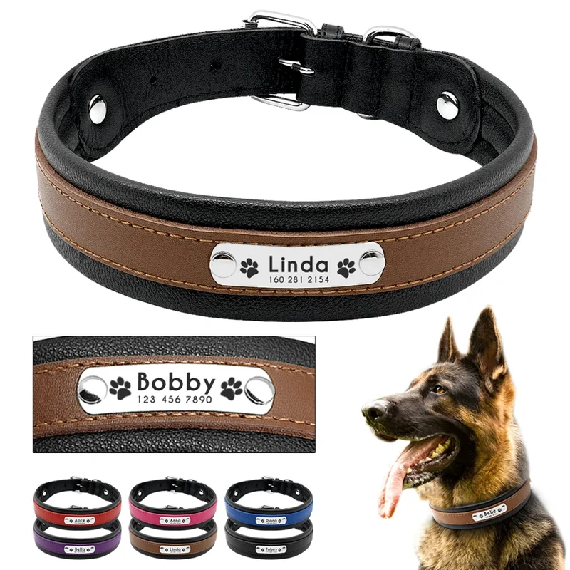 Collier Personnalisé Cuir Rembourré Plaque d'Identification Grand Chien