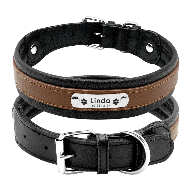 Collier Personnalisé Cuir Rembourré Plaque d'Identification Grand Chien