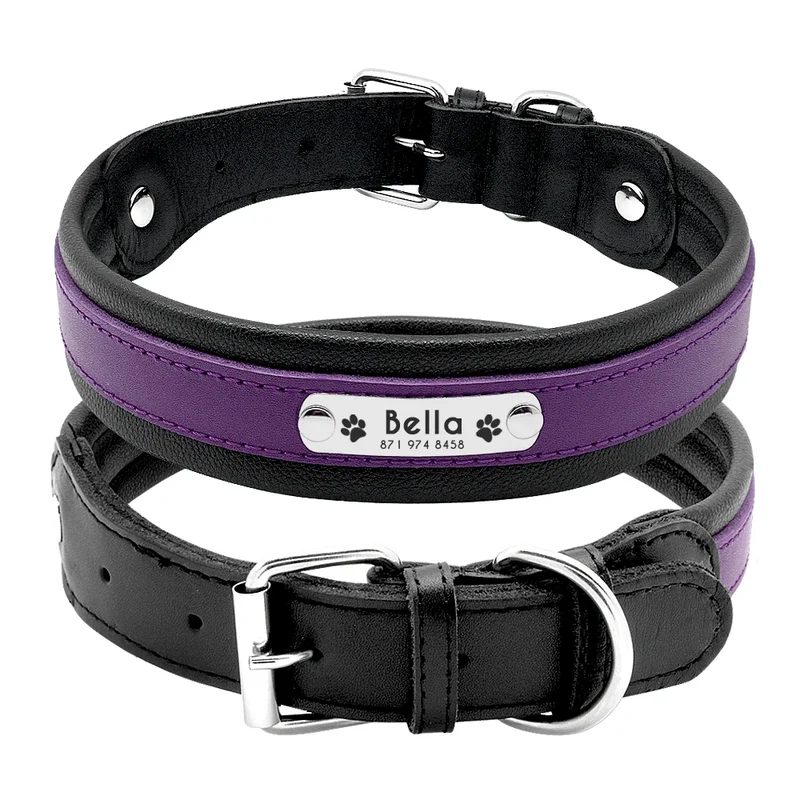 Collier Personnalisé Cuir Rembourré Plaque d'Identification Grand Chien