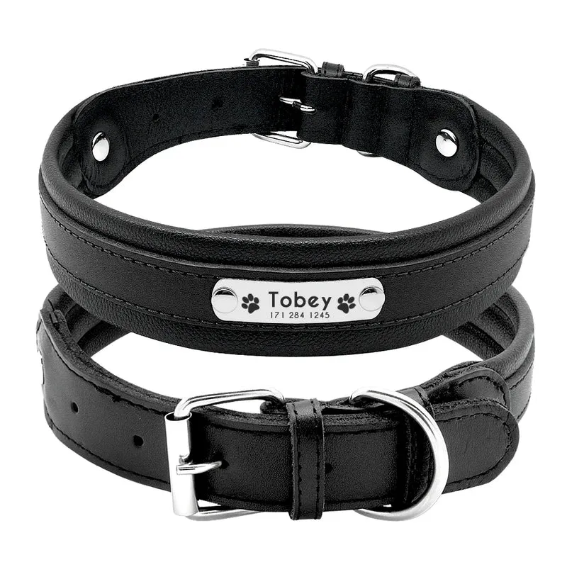 Collier Personnalisé Cuir Rembourré Plaque d'Identification Grand Chien