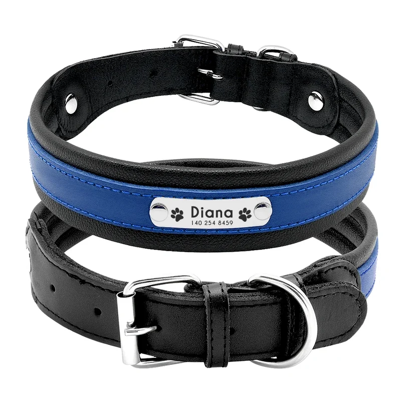 Collier Personnalisé Cuir Rembourré Plaque d'Identification Grand Chien