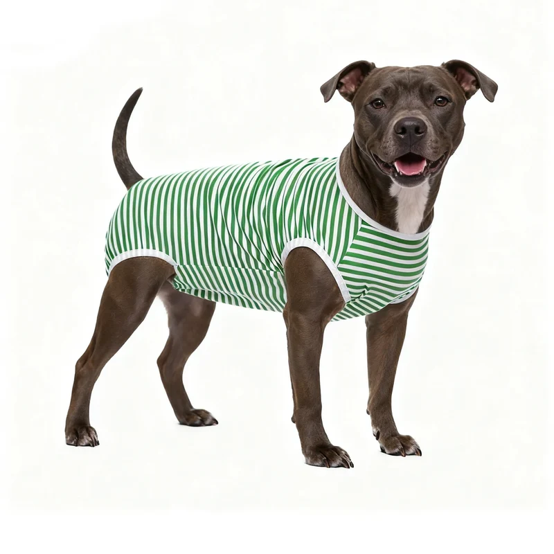 Body Post-Opératoire Chien Alternative Collerette Grande Taille