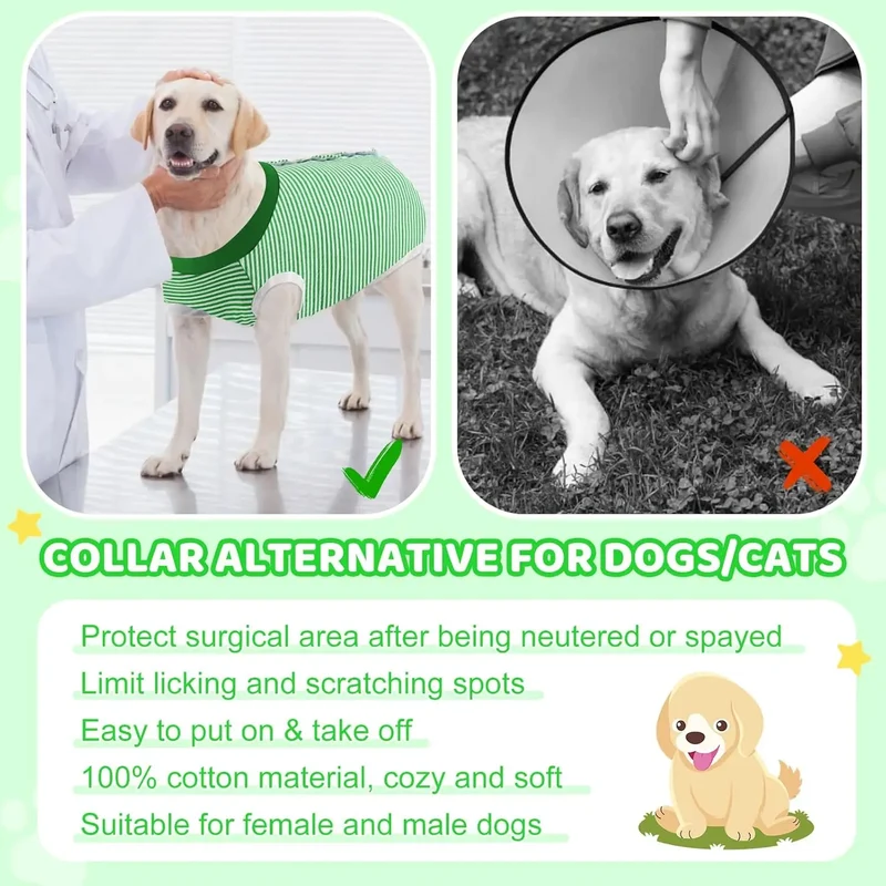 Body Post-Opératoire Chien Alternative Collerette Grande Taille