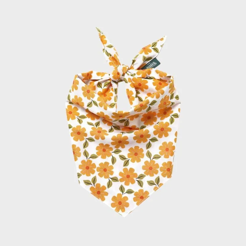 BANDANA POUR CHIEN - FLEURS D'AUTOMNE "MARIGOLD"