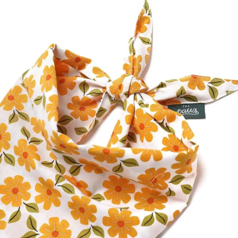 BANDANA POUR CHIEN - FLEURS D'AUTOMNE "MARIGOLD"