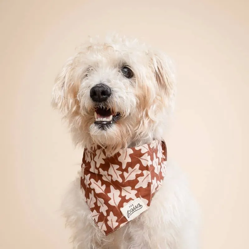 BANDANA POUR CHIEN - FEUILLES DE CHÊNE "HUDSON"