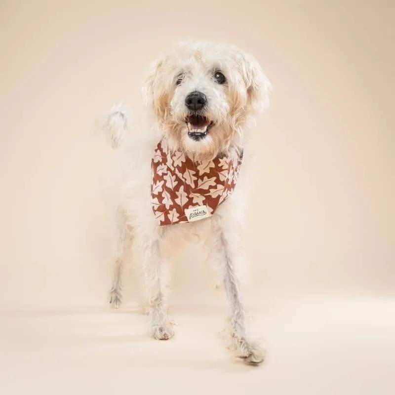 BANDANA POUR CHIEN - FEUILLES DE CHÊNE "HUDSON"